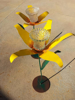 Daffodils Freestanding Painted