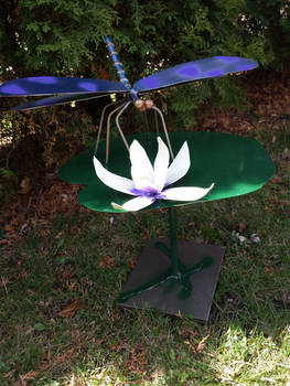 dragonfly on lily pad I