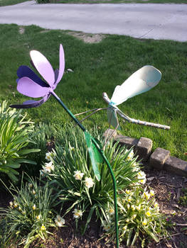 dragonfly on flower