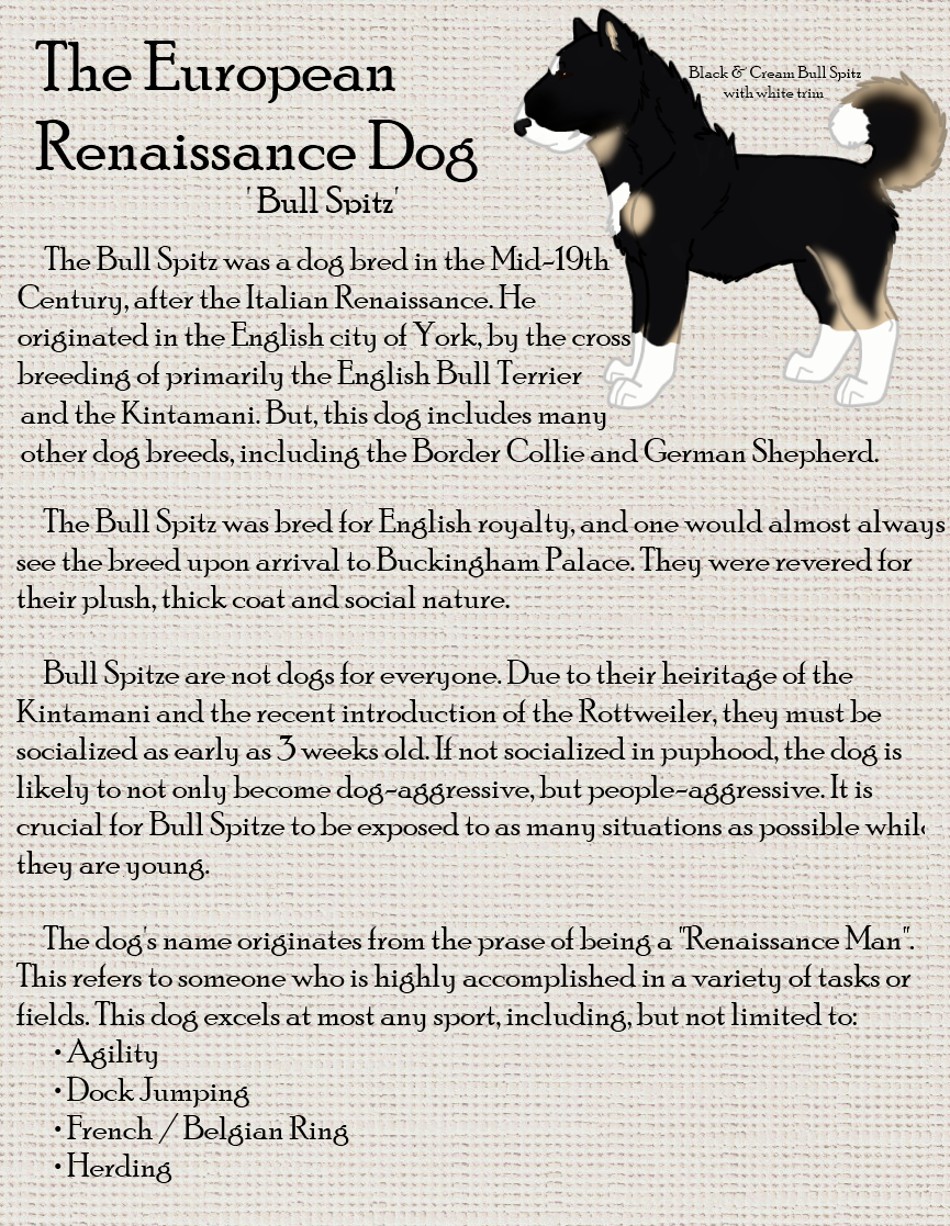 Information about best sale dog in english