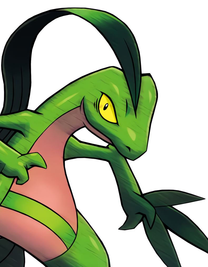 Groveyle Grovyle by RenderCentral on DeviantArt