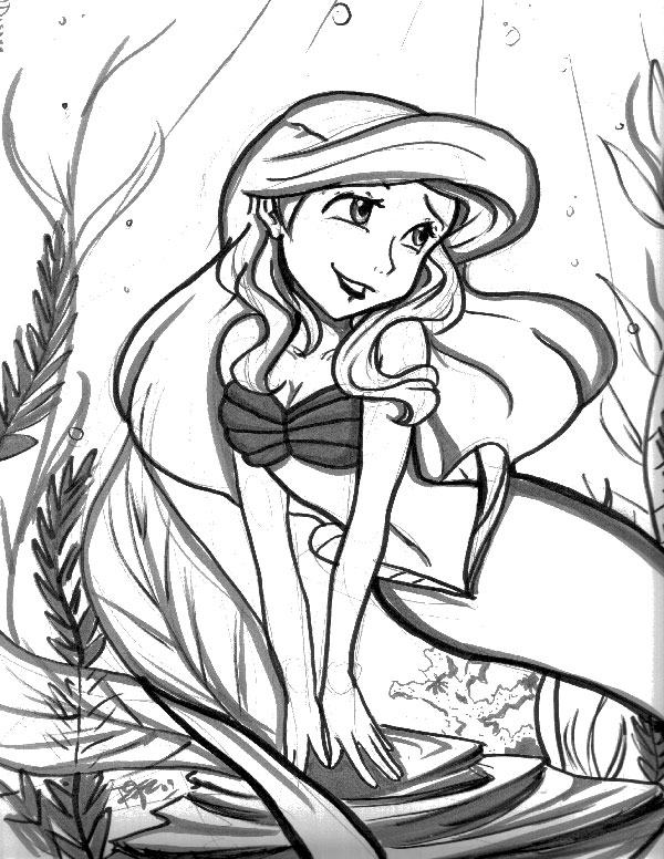 Ariel Sketch