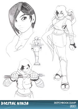 Digital Ninja Sketchbook 2
