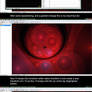 Post Transform Tutorial