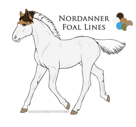 Recycled ID 5249 Foal Design