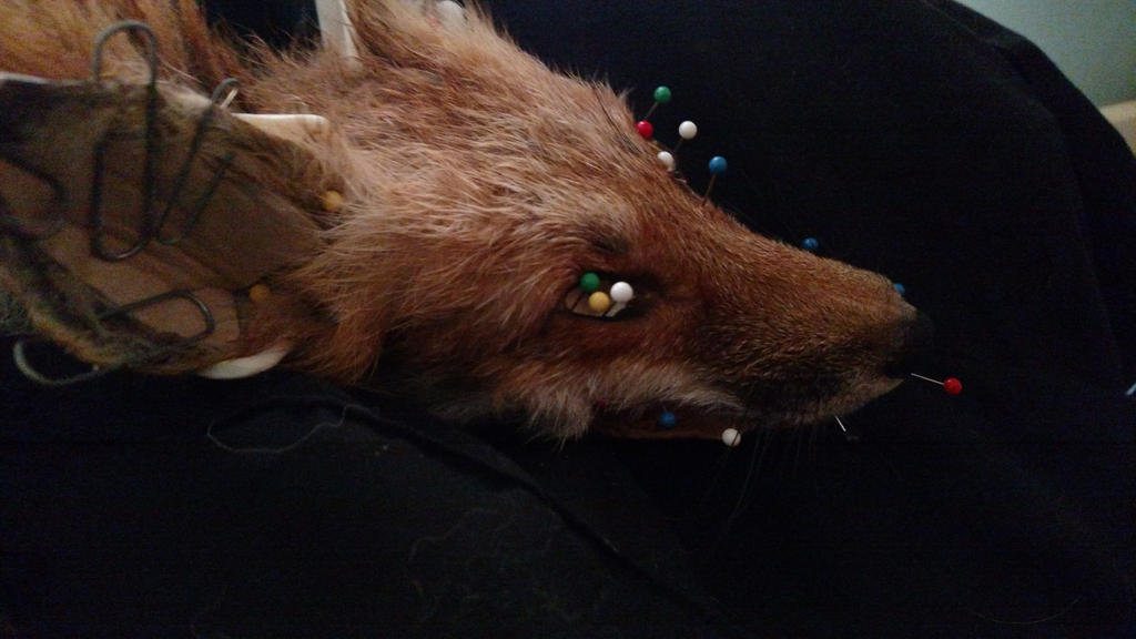 Alec. by BambiTaxidermy on DeviantArt