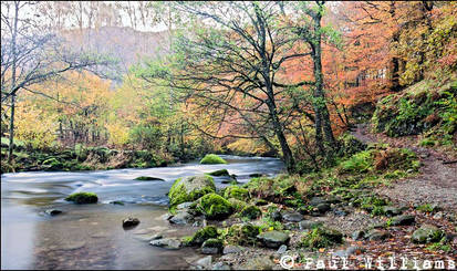 River Rothay I