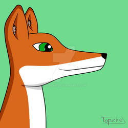 Profile of a Fox