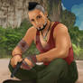 Vaas