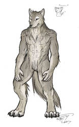 Altair - Werewolf colours