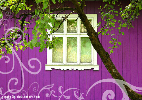 purple window