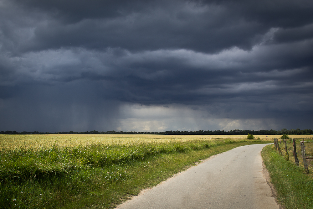 Vor dem Gewitter 1