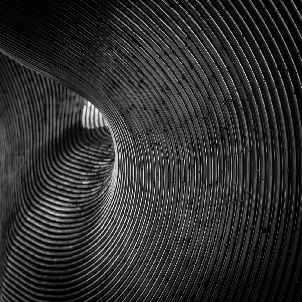 Curves 1 bw