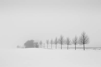 A Breath of Winter 7
