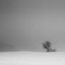 Silence 3