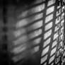 Shadows