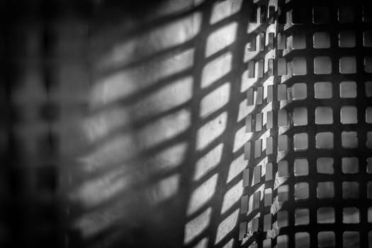 Shadows