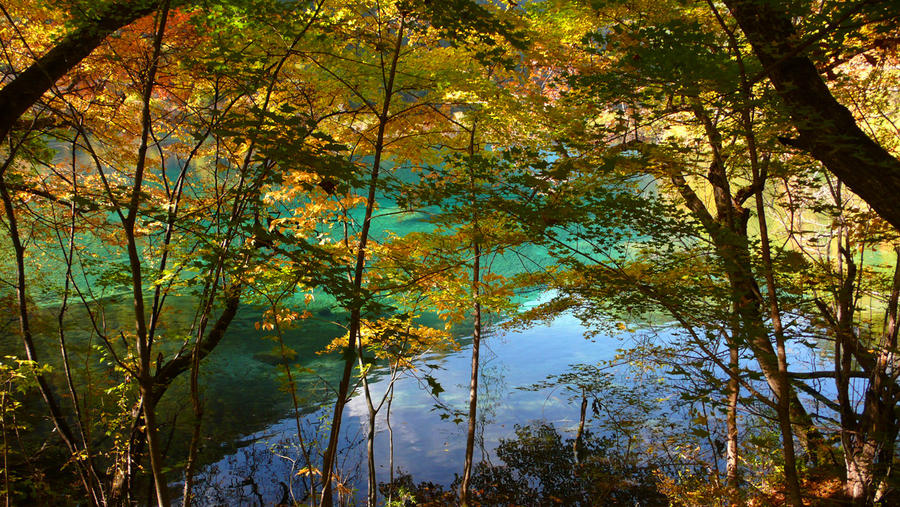 JiuZhai Valley VIII