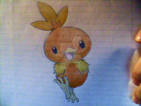 Torchic drawing