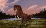 Andalusian Nights by JKoenegge Andalusian Nights by JKoenegge
