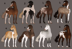 Fancy Horse Adoptables (1/8) Open *reduced