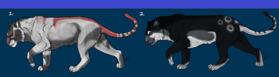 Big Cat adoptable 2 - CLOSED