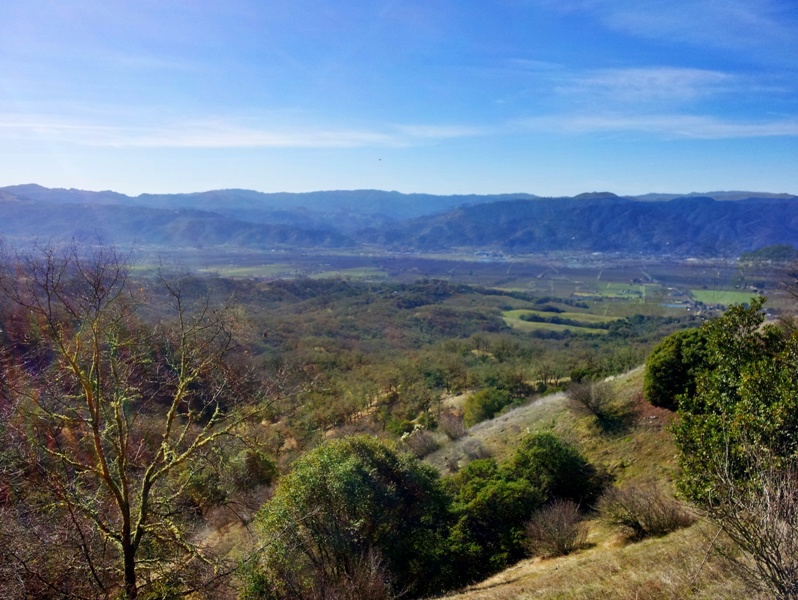 Colorful Valley