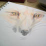 colored pencil red fox WIP