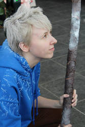 Jack Frost