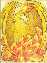 Phoenix, the Goddess - The Rebirth / Odrodzenie