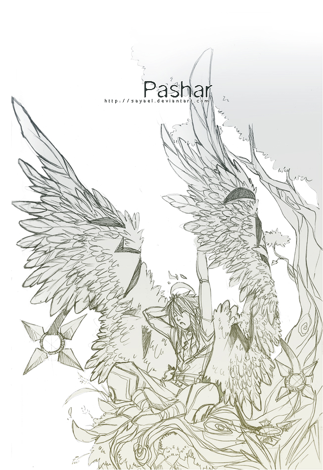 Original - Pashar