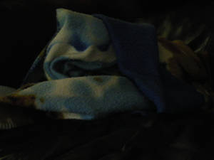 Blanket Monster