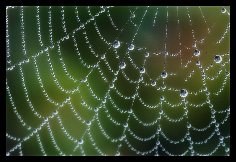 Pearls