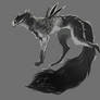 Griffin