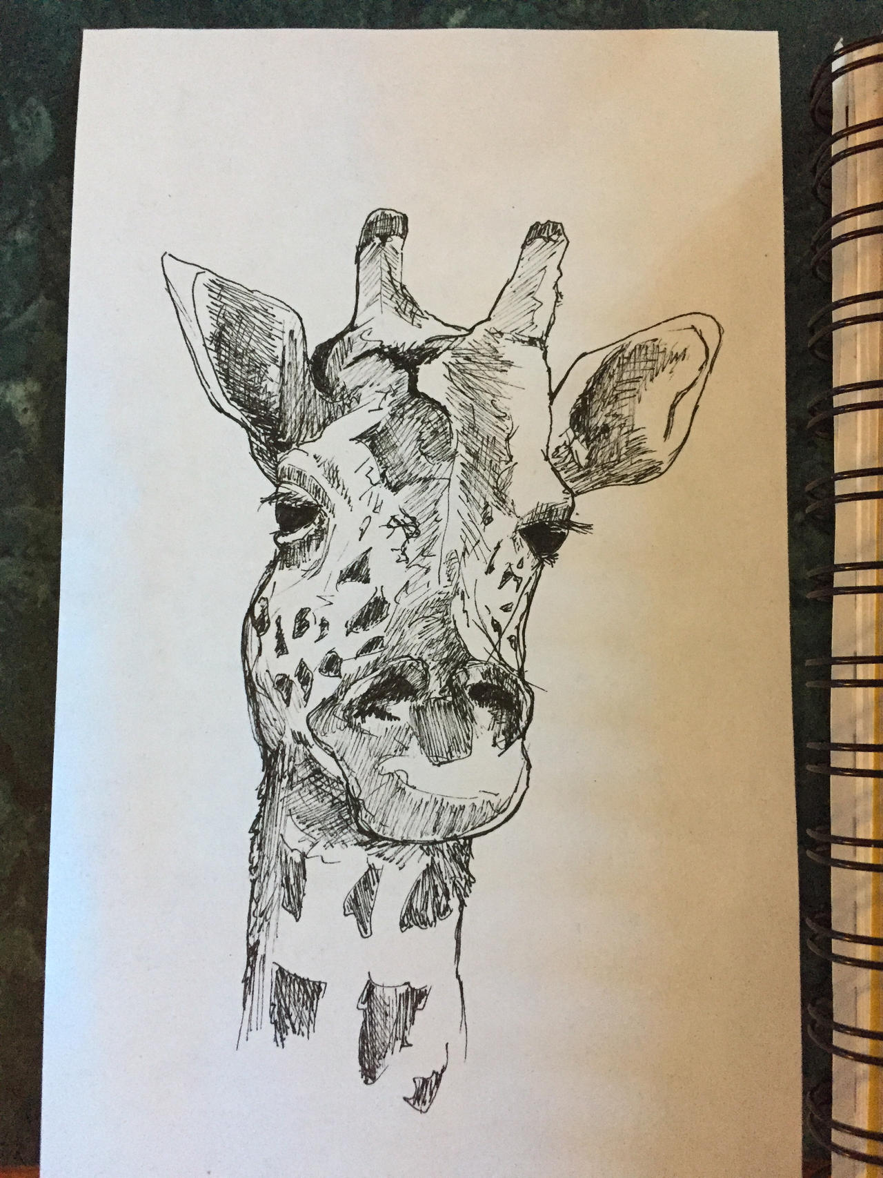 G Raff G-Raff by whiney-little-mitch on DeviantArt