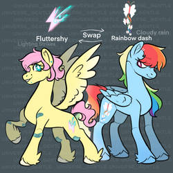Mlp Fluttershy and Rainbow swap