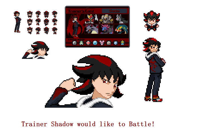 Trainer Shadow