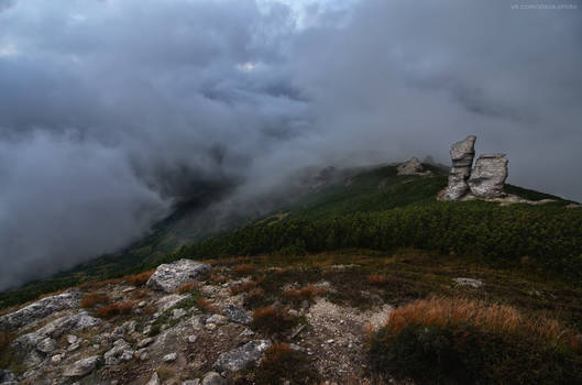 evening fog