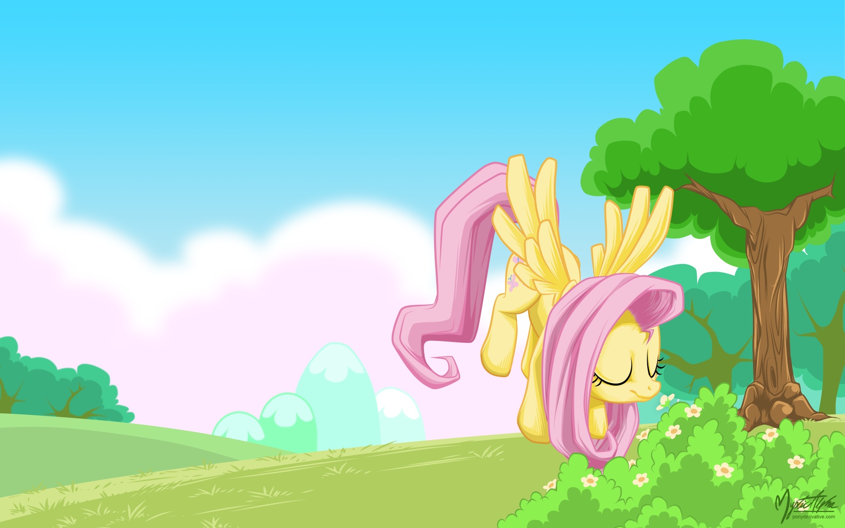 Flutterdaisy Fluttershy Flower by mysticalpha on DeviantArt