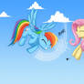 Rainbow dash and fluttershy - hoof slap