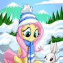 Fluttershy Angel Winter