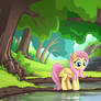 Tree Pond with Fluttershy