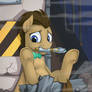 Dr Whooves