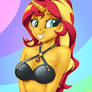 Sunset Shimmer Swimsuit