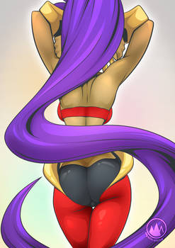 Shantae2