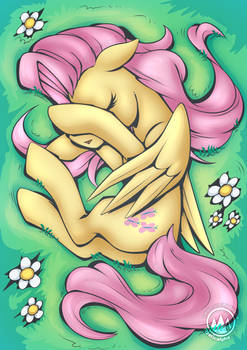 Fluttershy Sleep