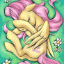 Fluttershy Sleep