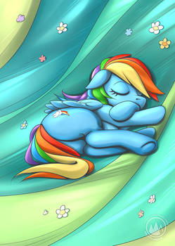 Rainbow Dash - Grass Sleep