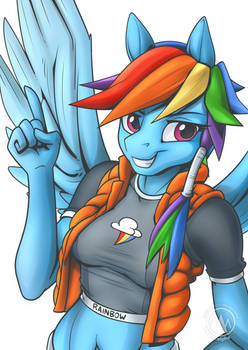 Rainbow Dash Point