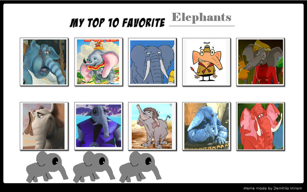 My Top 10 Favorite Elephants